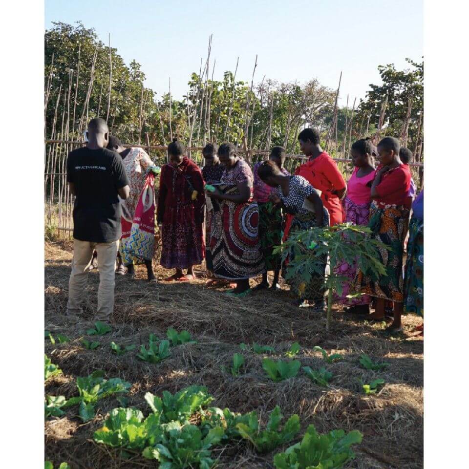 Utilize para ver mais