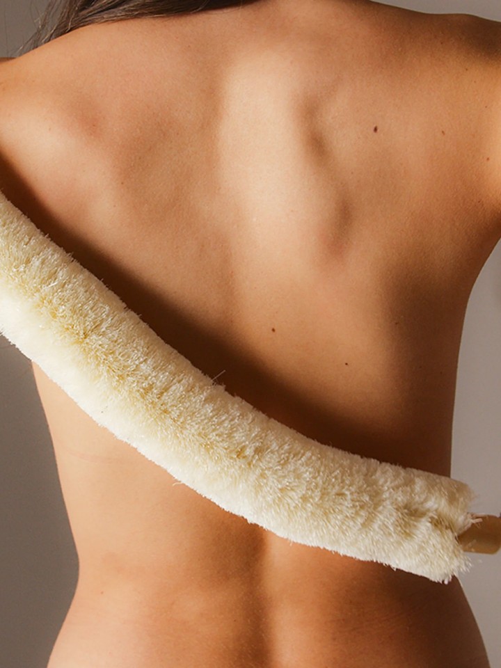 Esponja de costas de sisal