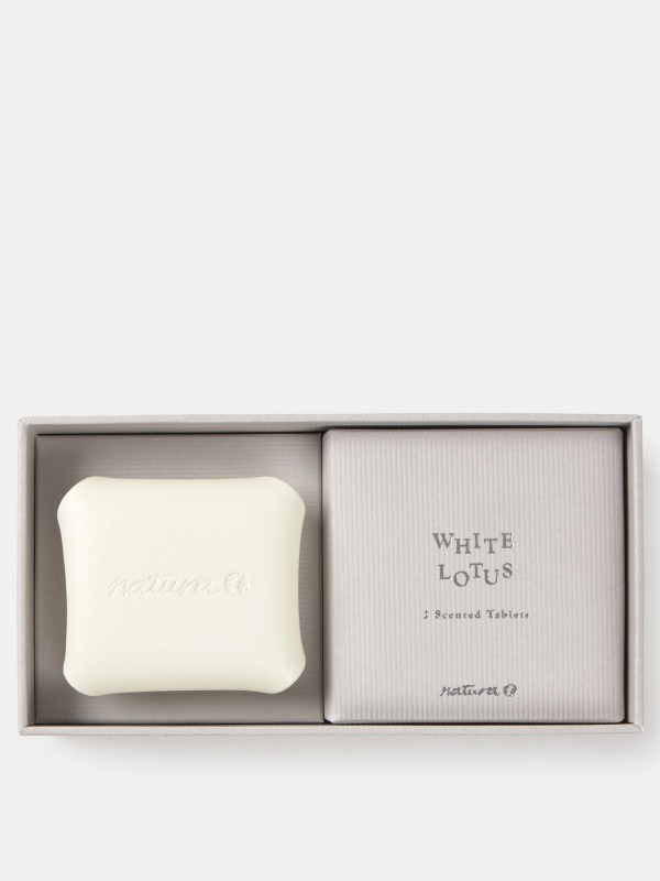 Conjunto de Aromatizador de Ar para Carro