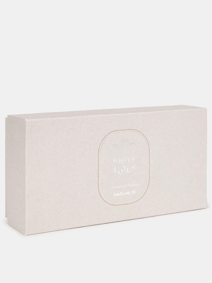 Conjunto de Aromatizador de Ar para Carro