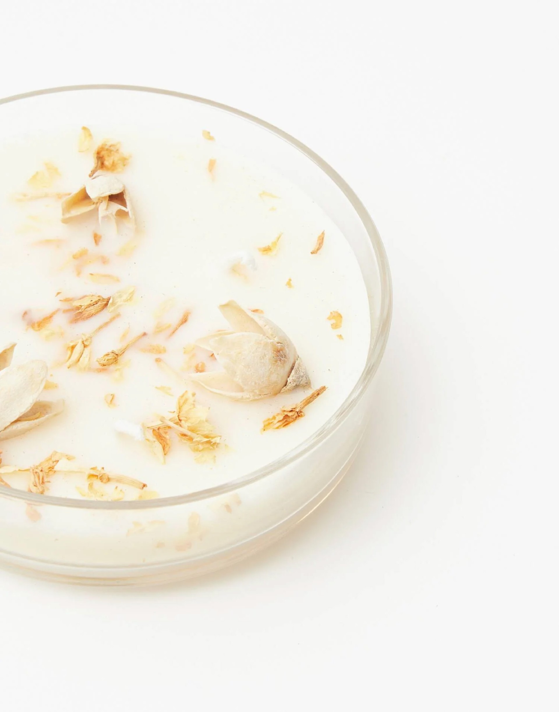 SEMENTES DE CRISTAL PARA VELA