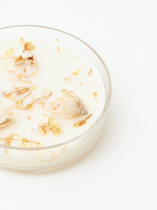 SEMENTES DE CRISTAL PARA VELA