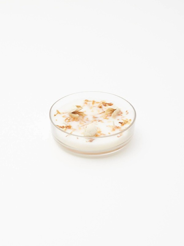 SEMENTES DE CRISTAL PARA VELA