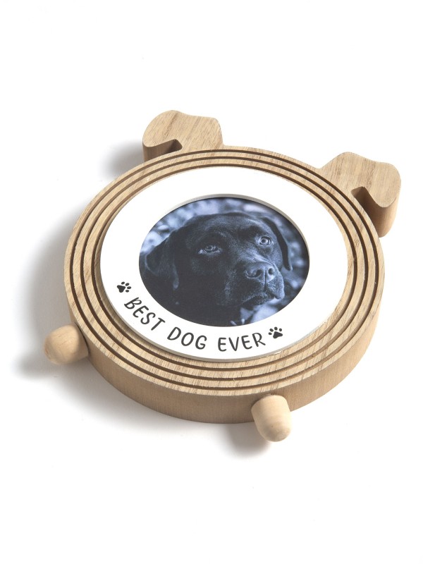 Moldura Cao Moldura Cao